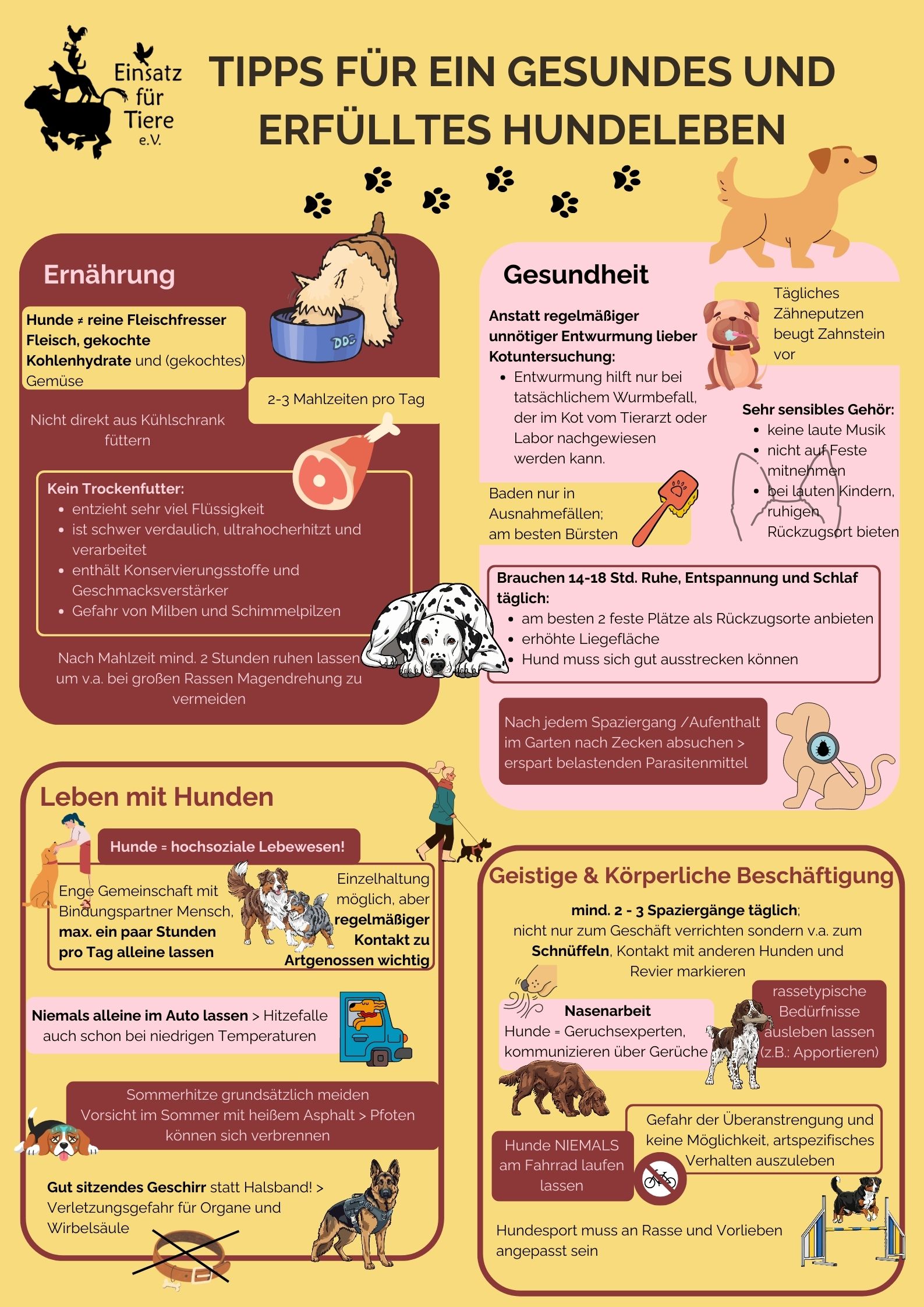 Infografik Hundehaltung