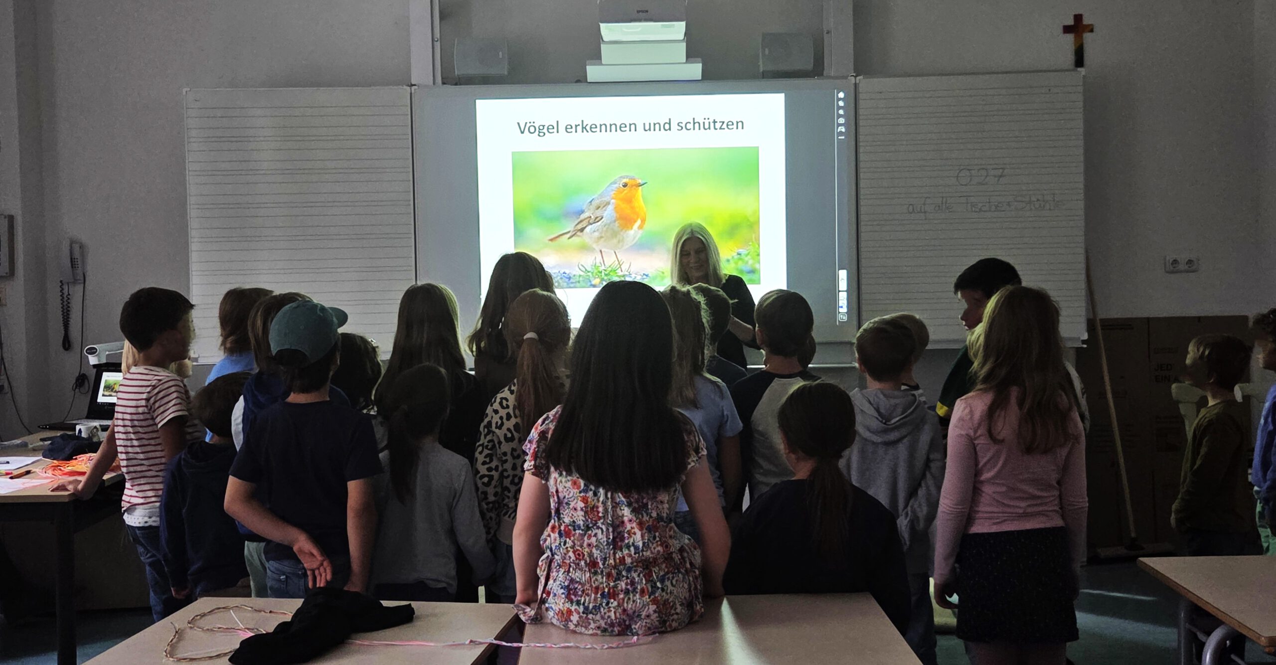 Wissenswertes über Vögel für Grundschüler